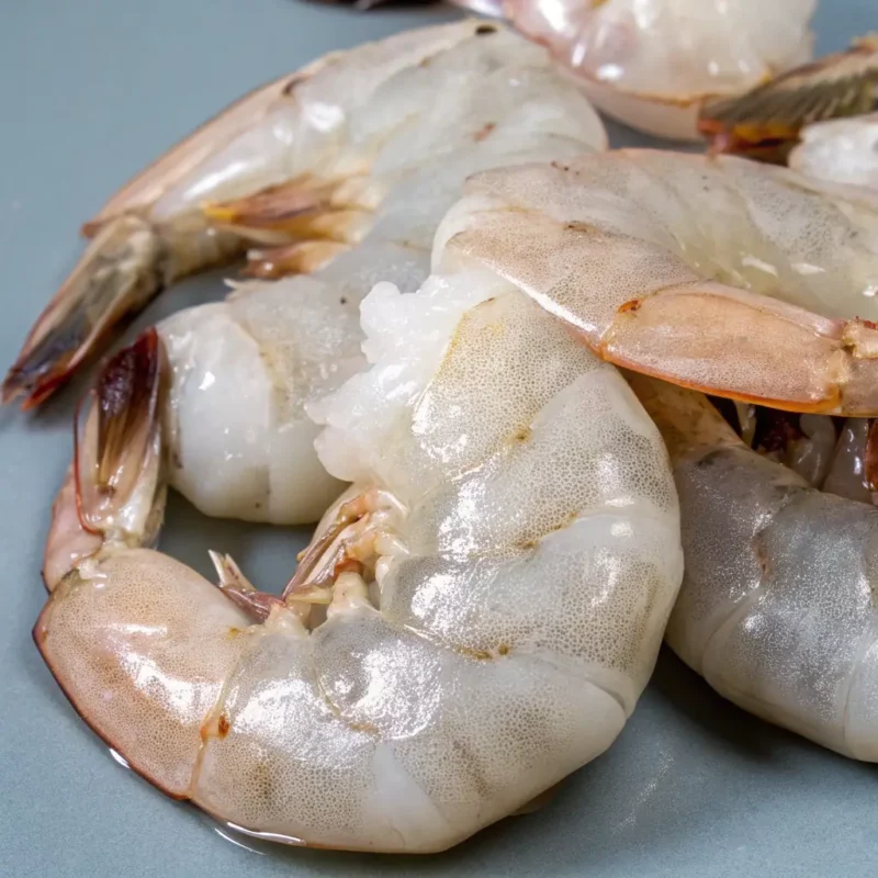 Fresh Shrimp